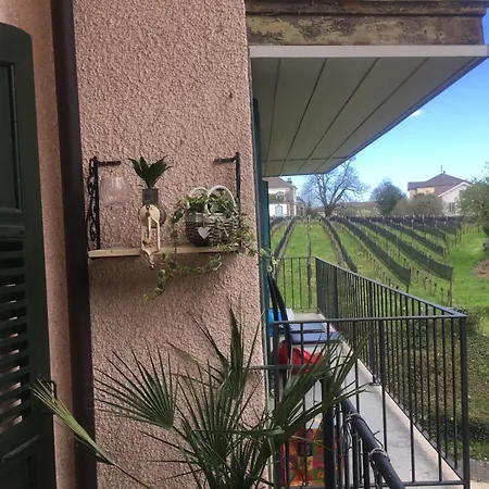 La Vigne * La Neuveville