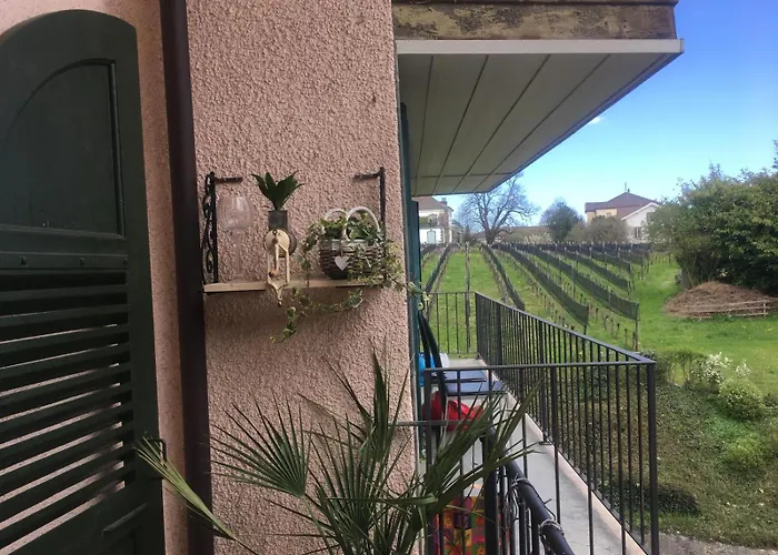 La Vigne * 拉纽维尔