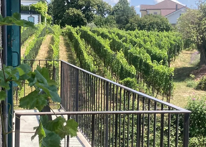 La Vigne 公寓