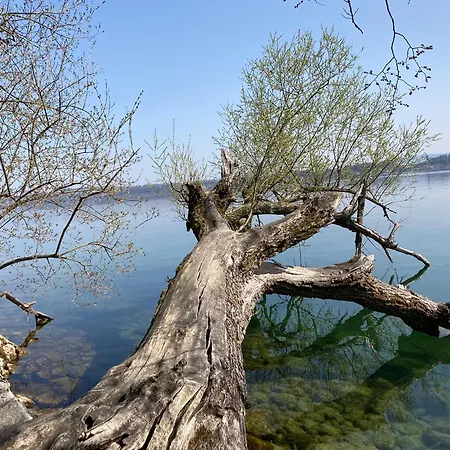 Apartman La Vigne La Neuveville