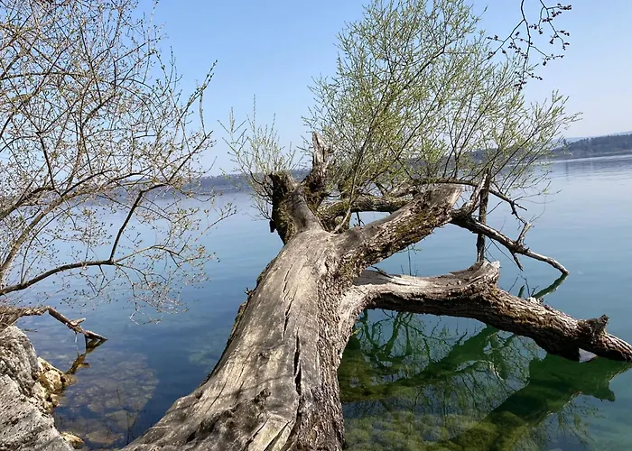 아파트 La Vigne 라 뇌브빌